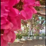 Vila πασιθέα