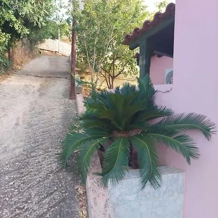 πασιθέα 빌라 *