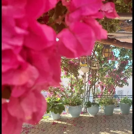 빌라 πασιθέα